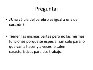 Pregunta:
• ¿Una célula del cerebro es igual a una del
corazón?
• Tienen las mismas partes pero no las mismas
funciones porque se especializan solo para lo
que van a hacer y a veces le salen
características para ese trabajo.
 