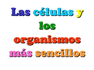 Las células y
     los
organismos
más sencillos
 