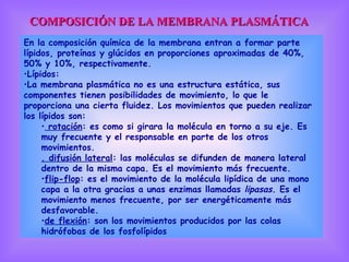 COMPOSICIÓN DE LA MEMBRANA PLASMÁTICA En la composición química de la membrana entran a formar parte lípidos, proteínas y glúcidos en proporciones aproximadas de 40%, 50% y 10%, respectivamente.  Lípidos:  La membrana plasmática no es una estructura estática, sus componentes tienen posibilidades de movimiento, lo que le proporciona una cierta fluidez. Los movimientos que pueden realizar los lípidos son: rotación : es como si girara la molécula en torno a su eje. Es muy frecuente y el responsable en parte de los otros movimientos.  . difusión lateral : las moléculas se difunden de manera lateral dentro de la misma capa. Es el movimiento más frecuente.  flip-flop : es el movimiento de la molécula lipídica de una mono capa a la otra gracias a unas enzimas llamadas  lipasas . Es el movimiento menos frecuente, por ser energéticamente más desfavorable.  de flexión : son los movimientos producidos por las colas hidrófobas de los fosfolípidos 