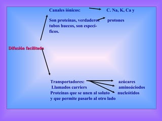 Canales iónicos:  C. Na, K, Ca y  Son proteínas, verdaderos  protones tubos huecos, son especí- ficos. Difusión facilitada Transportadores:  azúcares Llamados carriers  aminoáciodos Proteínas que se unen al soluto  nucleótidos y que permite pasarlo al otro lado 