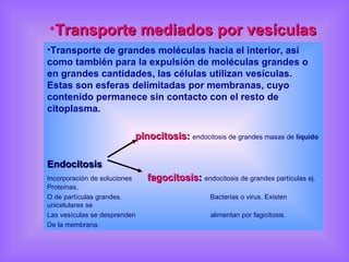 Transporte mediados por vesículas Transporte de grandes moléculas hacia el interior, así como también para la expulsión de moléculas grandes o en grandes cantidades, las células utilizan vesículas. Estas son esferas delimitadas por membranas, cuyo contenido permanece sin contacto con el resto de citoplasma. pinocitosis:   endocitosis de grandes masas de  líquido Endocitosis  Incorporación de soluciones  fagocitosis :   endocitosis de grandes partículas ej. Proteínas,  O de partículas grandes.  Bacterias o virus. Existen unicelulares se  Las vesículas se desprenden  alimentan por fagicitosis. De la membrana. 