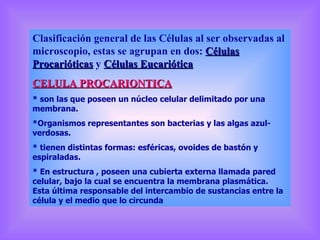 Clasificación general de las Células al ser observadas al microscopio, estas se agrupan en dos:  Células Procarióticas  y  Células Eucariótica CELULA PROCARIONTICA * son las que poseen un núcleo celular delimitado por una membrana. *Organismos representantes son bacterias y las algas azul-verdosas. * tienen distintas formas: esféricas, ovoides de bastón y espiraladas. * En estructura , poseen una cubierta externa llamada pared celular, bajo la cual se encuentra la membrana plasmática. Esta última responsable del intercambio de sustancias entre la célula y el medio que lo circunda 