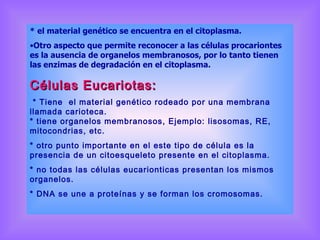 * el material genético se encuentra en el citoplasma. Otro aspecto que permite reconocer a las células procariontes es la ausencia de organelos membranosos, por lo tanto tienen las enzimas de degradación en el citoplasma. Células Eucariotas:  * Tiene  el material genético rodeado por una membrana llamada carioteca. * tiene organelos membranosos, Ejemplo: lisosomas, RE, mitocondrias, etc. * otro punto importante en el este tipo de célula es la presencia de un citoesqueleto presente en el citoplasma. * no todas las células eucarionticas presentan los mismos organelos. * DNA se une a proteínas y se forman los cromosomas. 