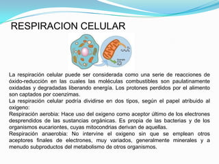 RESPIRACION CELULAR



La respiración celular puede ser considerada como una serie de reacciones de
óxido-reducción en las cuales las moléculas combustibles son paulatinamente
oxidadas y degradadas liberando energía. Los protones perdidos por el alimento
son captados por coenzimas.
La respiración celular podría dividirse en dos tipos, según el papel atribuido al
oxigeno:
Respiración aerobia: Hace uso del oxigeno como aceptor último de los electrones
desprendidos de las sustancias orgánicas. Es propia de las bacterias y de los
organismos eucariontes, cuyas mitocondrias derivan de aquellas.
Respiración anaerobia: No intervine el oxigeno sin que se emplean otros
aceptores finales de electrones, muy variados, generalmente minerales y a
menudo subproductos del metabolismo de otros organismos.
 
