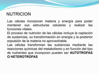 NUTRICION
Las células incorporan materia y energía para poder
mantener sus estructuras celulares y realizar las
funciones vitales.
El proceso de nutrición de las células incluye la captación
de sustancias, su transformación en energía y la posterior
expulsión de la materia no aprovechable.
Las células transforman las sustancias mediante las
reacciones químicas del metabolismo y en función del tipo
de nutrientes que incorporan pueden ser AUTOTROFAS
O HETEROTROFAS
 