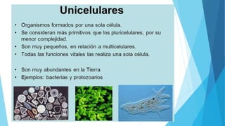 LA CELULA Y TRANSPORTE CELULAR - 2023.pptx