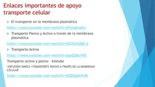 Enlaces importantes de apoyo
transporte celular
 El transporte en la membrana plasmática
https://www.youtube.com/watch?v=67wugSvpfrc
 Transporte Pasivo y Activo a través de la membrana
plasmática
https://www.youtube.com/watch?v=HG7zn3uAW_k
 Transporte Activo
https://www.youtube.com/watch?v=yqyQ20g-PXE
Transporte activo y pasivo – biotube
🟨DIFUSIÓN SIMPLE 🟨TRANSPORTE PASIVO A TRAVÉS DE LA MEMBRANA
CELULAR
https://www.youtube.com/watch?v=AQDXpALPx9k
 