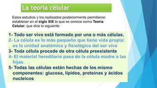 Estos estudios y los realizados posteriormente permitieron
establecer en el siglo XIX lo que se conoce como Teoría
Celular, que dice lo siguiente:
1- Todo ser vivo está formado por una o más células.
2- La célula es lo más pequeño que tiene vida propia:
es la unidad anatómica y fisiológica del ser vivo
3- Toda célula procede de otra célula preexistente
4- El material hereditario pasa de la célula madre a las
hijas.
5- Todas las células están hechas de los mismo
componentes: glucosa, lípidos, proteínas y ácidos
nucleicos
 