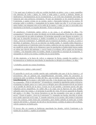 Y he aquí que el pájaro le echó un vestido bordado en plata y oro, y unas zapatillas
con adornos de seda y plata. Se vistió a toda prisa y corrió a palacio, donde su
madrastra y hermanastras no la reconocieron, y, al verla tan ricamente ataviada, la
tomaron por una princesa extranjera. Ni por un momento se les ocurrió pensar en
Cenicienta, a quien creían en su cocina, sucia y buscando lentejas en la ceniza. El
príncipe salió a recibirla, y tomándola de la mano, bailó con ella. Y es el caso que no
quiso bailar con ninguna otra ni la soltó de la mano, y cada vez que se acercaba otra
muchacha a invitarlo, se negaba diciendo: “Ésta es mi pareja.”
Al anochecer, Cenicienta quiso volver a su casa, y el príncipe le dijo: “Te
acompañaré,” deseoso de saber de dónde era la bella muchacha. Pero ella se le escapó,
y se encaramó de un salto al palomar. El príncipe aguardó a que llegase su padre, y le
dijo que la doncella forastera se había escondido en el palomar. Entonces pensó el
viejo: ¿Será la Cenicienta? Y, pidiendo que le trajesen un hacha y un pico, se puso a
derribar el palomar. Pero en su interior no había nadie. Y cuando todos llegaron a
casa, encontraron a Cenicienta entre la ceniza, cubierta con sus sucias ropas, mientras
un candil de aceite ardía en la chimenea; pues la muchacha se había dado buena maña
en saltar por detrás del palomar y correr hasta el avellano; allí se quitó sus hermosos
vestidos, y los depositó sobre la tumba, donde el pajarillo se encargó de recogerlos. Y
enseguida se volvió a la cocina, vestida con su sucia batita.
Al día siguiente, a la hora de volver a empezar la fiesta, cuando los padres y las
hermanastras se hubieron marchado, la muchacha se dirigió al avellano y le dijo:
“¡Arbolito, sacude tus ramas frondosas,
y échame oro y plata y, más cosas!”
El pajarillo le envió un vestido mucho más espléndido aún que el de la víspera; y al
presentarse ella en palacio tan magníficamente ataviada, todos los presentes se
pasmaron ante su belleza. El hijo del Rey, que la había estado aguardando, la tomó
inmediatamente de la mano y sólo bailó con ella. A las demás que fueron a solicitarlo,
les respondía: “Ésta es mi pareja.” Al anochecer, cuando la muchacha quiso retirarse,
el príncipe la siguió, para ver a qué casa se dirigía; pero ella desapareció de un brinco
en el jardín de detrás de la suya. Crecía en él un grande y hermoso peral, del que
colgaban peras magníficas. Se subió ella a la copa con la ligereza de una ardilla,
saltando entre las ramas, y el príncipe la perdió de vista. El joven aguardó la llegada
del padre, y le dijo: “La joven forastera se me ha escapado; creo que se subió al
peral.” Pensó el padre: ¿Será la Cenicienta? Y, tomando un hacha, derribó el árbol,
pero nadie apareció en la copa. Y cuando entraron en la cocina, allí estaba Cenicienta
entre las cenizas, como tenía por costumbre, pues había saltado al suelo por el lado
opuesto del árbol, y, después de devolver los hermosos vestidos al pájaro del avellano,
volvió a ponerse su batita gris.
El tercer día, en cuanto se hubieron marchado los demás, volvió Cenicienta a la
tumba de su madre y suplicó al arbolillo:
 