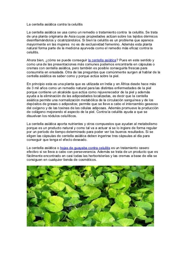 La centella asiática contra la celulitis La centella asiática contra la celulitis