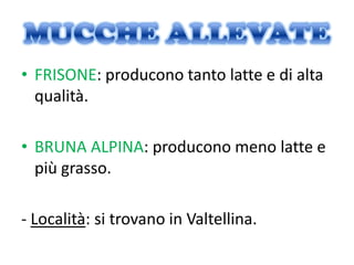 • FRISONE: producono tanto latte e di alta
  qualità.

• BRUNA ALPINA: producono meno latte e
  più grasso.

- Località: si trovano in Valtellina.
 