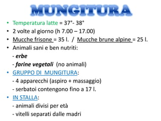• Temperatura latte = 37°- 38°
• 2 volte al giorno (h 7.00 – 17.00)
• Mucche frisone = 35 l. / Mucche brune alpine = 25 l.
• Animali sani e ben nutriti:
  - erbe
  - farine vegetali (no animali)
• GRUPPO DI MUNGITURA:
  - 4 apparecchi (aspiro + massaggio)
  - serbatoi contengono fino a 17 l.
• IN STALLA:
  - animali divisi per età
  - vitelli separati dalle madri
 