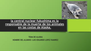 la central nuclear fukushima es la
responsable de la muerte de los animales
en las costas de Alaska.
TEMA DE ALASKA
NOMBRE DEL ALUMNO: LUIS EDUARDO LOPEZ RAMIREZ
 