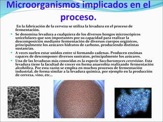 Microorganismos implicados en el proceso. En la fabricación de la cerveza se utiliza la levadura en el proceso de fermentación. Se denomina levadura a cualquiera de los diversos hongos microscópicos unicelulares que son importantes por su capacidad para realizar la descomposición mediante fermentación de diversos cuerpos orgánicos, principalmente los azúcares hidratos de carbono, produciendo distintas sustancias. A veces suelen estar unidos entre sí formando cadenas. Producen enzimas capaces de descomponer diversos sustratos, principalmente los azúcares. Una de las levaduras más conocidas es la especie  Saccharomyces cerevisiae . Esta levadura tiene la facultad de crecer en forma anaerobia realizando   fermentación alcohólica. Por esta razón se emplea en muchos procesos de fermentación industrial, de forma similar a la levadura química, por ejemplo en la producción de cerveza, vino, etc… 