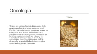 Oncología
                                                  CEBADA



Uno de los polifenoles más destacados de la
cerveza es el xanthohumol, presente en el
lúpulo. Este antioxidante, que posee una de las
catequinas más activas en la inhibición y
prevención de la carcinogénesis, demostró en
investigaciones científicas “in Vitro” y en
animales de experimentación que podría
desarrollar una actividad quimiopreventiva
frente a ciertos tipos de cáncer.
 