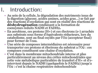 Introduction:Au sein de la cellule, la dégradation des nutriments issus de la digestion (glucose, acides amines, acides gras…) se fait par des réactions d’oxydation qui sont en réalité des réactions de déshydrogénation conduisant a la formation de coenzymes reduitsNADH et FADH2.En aerobiose, ces protons (H+) et ces électrons (e-) arrachés aux substrats sous forme d’équivalents réducteurs, lors du catabolisme, sont au final oxydés par l’O2 (accepteur final) pour former de l’eau.Une série de composes intermédiaires est nécessaire pour transporter ces protons et électrons du substrat a l’O2 : ces composes constituent une chaîne d’oxydation.C’est dans la membrane mitochondriale interne et plus particulièrement au niveau des crêtes mitochondriales que cette voie métabolique particulière de transfert d’H+ et d’e- intervient depuis le NADH (quelquefois le FADH2) jusqu’a l’O2 : c’est la chaîne respiratoire mitochondriale