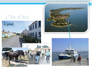 L’île d’Aix
En véloEn vélo
En calècheEn calèche
À piedÀ pied
 