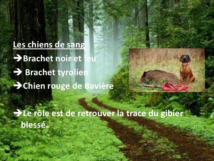 La Chasse