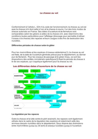 La chasse au vol




Conformément à l’article L. 424-4 du code de l’environnement, la chasse au vol est
avec la chasse à tir dont celle à l’arc et la chasse à courre, l’un des trois modes de
chasse autorisés en France. Ses dates d’ouverture et de fermeture sont
comparables selon les gibiers à celles de la chasse à tir, avec néanmoins des
conditions toutes particulières pour l’affaitage (dressage pour permettre d’utiliser
l’oiseau à la chasse) des rapaces et leurs usages à des fins de destruction des
nuisibles.

Différentes périodes de chasse selon le gibier


Pour les mammifères et les espèces d’oiseaux sédentaires(1), la chasse au vol
est fixée, de la date de l’ouverture générale prévue pour le département, au dernier
jour de février(2). Pour les oiseaux de passage et le gibier d’eau, ce sont les
dispositions des arrêtés ministériels spécifiques(3) fixant la période de chasse à
tir de ces espèces, qui s’applique également pour la chasse au vol.

 Les différentes dates d’ouverture de la chasse au vol




La régulation par les rapaces

Outre la chasse et la lutte contre le péril aviaire(4), les rapaces sont également
utilisés dans le cadre de la régulation des espèces et notamment celle des
animaux classés nuisibles dans le département. Sous réserve des distinctions
entre mammifères (jusqu’au 30 avril) et oiseaux nuisibles (jusqu’à l’ouverture
 