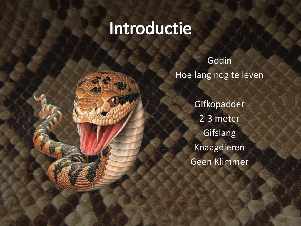 Homeopathy Lachesis muta