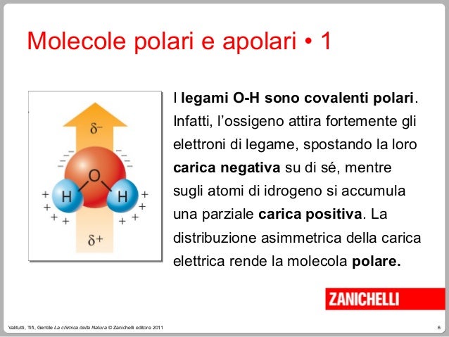 Molecole Polari Apolari Differenza Spiega A Un Bambino La chimica dell'acqua - seconda parte