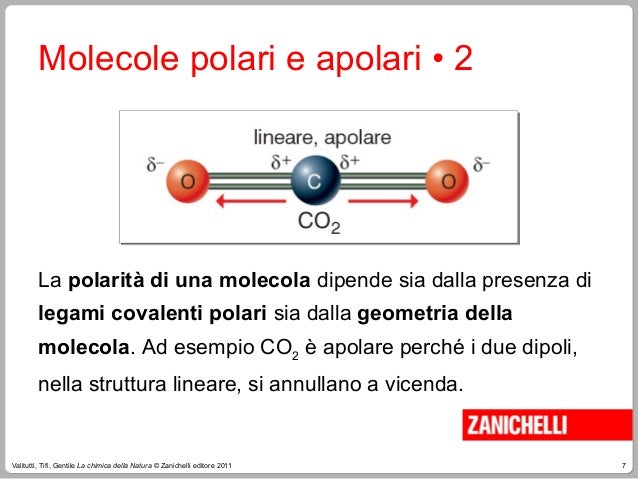 Molecole Polari Apolari Differenza Spiega A Un Bambino La chimica dell'acqua - seconda parte