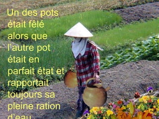 Un des pots était fêlé alors que l’autre pot était en parfait état et rapportait toujours sa pleine ration d’eau. 