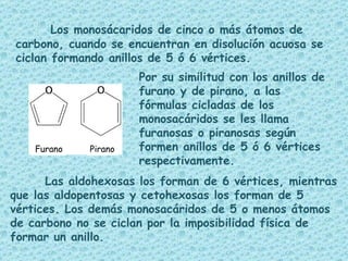 Los monosácaridos de cinco o más átomos de carbono, cuando se encuentran en disolución acuosa se ciclan formando anillos de 5 ó 6 vértices. Furano Pirano Por su similitud con los anillos de furano y de pirano, a las fórmulas cicladas de los monosacáridos se les llama furanosas o piranosas según formen anillos de 5 ó 6 vértices respectivamente.  Las aldohexosas los forman de 6 vértices, mientras que las aldopentosas y cetohexosas los forman de 5 vértices. Los demás monosacáridos de 5 o menos átomos de carbono no se ciclan por la imposibilidad física de formar un anillo. 