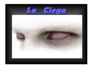 La ciega