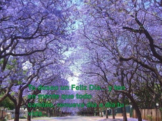 29/03/2014 hidalgo_719@hotmail.com 9
 