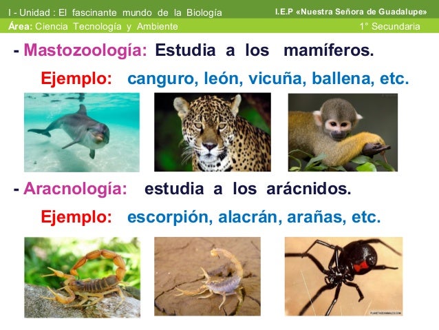 La ciencia su método y su importancia