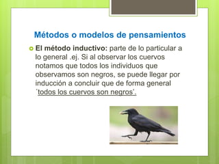 Métodos o modelos de pensamientos
 El método inductivo: parte de lo particular a
lo general .ej. Si al observar los cuervos
notamos que todos los individuos que
observamos son negros, se puede llegar por
inducción a concluir que de forma general
´todos los cuervos son negros’.
 