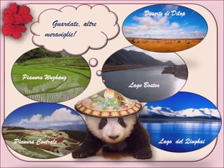 Guardate, altre
meraviglie!
Lago del Qinghai
Lago Bosten
Pianura Centrale
Pianura Wuzhang
Deserto di Dilop
 