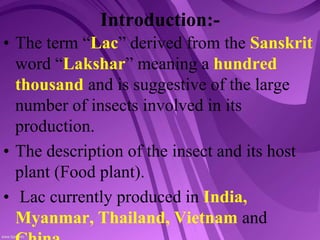 Lac inescts pest | PPT