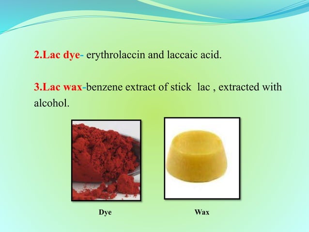 Lac insect, it's natural enemies and their management | PPTX ...