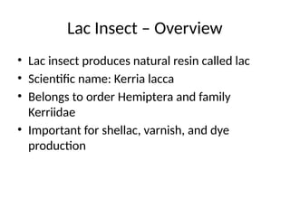 Shellac Lac Insects Lac_Insect_Presentation you can present.pptx