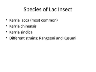 Lak Insect Lac_Insect_Presentation you can present.pptx