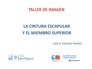 LA CINTURA ESCAPULAR
Y EL MIEMBRO SUPERIOR
TALLER DE IMAGEN
José A. Sánchez Andrés
 