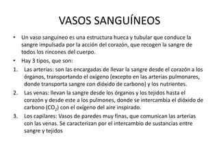 VASOS SANGUÍNEOS
• Un vaso sanguíneo es una estructura hueca y tubular que conduce la
sangre impulsada por la acción del corazón, que recogen la sangre de
todos los rincones del cuerpo.
• Hay 3 tipos, que son:
1. Las arterias: son las encargadas de llevar la sangre desde el corazón a los
órganos, transportando el oxígeno (excepto en las arterias pulmonares,
donde transporta sangre con dióxido de carbono) y los nutrientes.
2. Las venas: llevan la sangre desde los órganos y los tejidos hasta el
corazón y desde este a los pulmones, donde se intercambia el dióxido de
carbono (CO2) con el oxígeno del aire inspirado.
3. Los capilares: Vasos de paredes muy finas, que comunican las arterias
con las venas. Se caracterizan por el intercambio de sustancias entre
sangre y tejidos
 