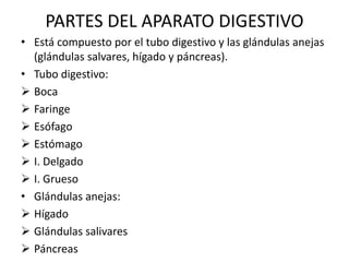 PARTES DEL APARATO DIGESTIVO
• Está compuesto por el tubo digestivo y las glándulas anejas
(glándulas salvares, hígado y páncreas).
• Tubo digestivo:
 Boca
 Faringe
 Esófago
 Estómago
 I. Delgado
 I. Grueso
• Glándulas anejas:
 Hígado
 Glándulas salivares
 Páncreas
 