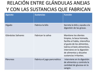 RELACIÓN ENTRE GLÁNDULAS ANEJAS
Y CON LAS SUSTANCIAS QUE FABRICAN
Aparato Sustancias Función
Hígado Fabrica la bilis Secreta la bilis y ayuda a la
digestión de las grasas.
Glándulas Salivares Fabrican la saliva Mantiene los dientes
limpios, la boca húmeda,
facilita el habla, intensifica
el gusto de los alimentos,
lubrica el bolo alimenticio,
interviene en la digestión
de alimentos y disuelve
sustancias irritantes.
Páncreas Fabrica el jugo pancreático Interviene en le digestión
de alimentos y controla la
cantidad de glucosa en la
sangre.
 