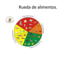 Rueda de alimentos.
 