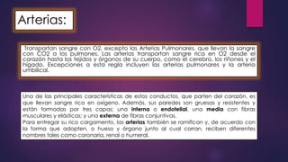 Arterias: 
Transportan sangre con O2, excepto las Arterias Pulmonares, que llevan la sangre 
con CO2 a los pulmones. Las arterias transportan sangre rica en O2 desde el 
corazón hasta los tejidos y órganos de su cuerpo, como el cerebro, los riñones y el 
hígado. Excepciones a esta regla incluyen las arterias pulmonares y la arteria 
umbilical. 
Una de las principales características de estos conductos, que parten del corazón, es 
que llevan sangre rica en oxígeno. Además, sus paredes son gruesas y resistentes y 
están formadas por tres capas; una interna o endotelial, una media con fibras 
musculares y elásticas; y una externa de fibras conjuntivas. 
Para entregar su rico cargamento, las arterias también se ramifican y, de acuerdo con 
la forma que adopten, o hueso y órgano junto al cual corran, reciben diferentes 
nombres tales como coronaria, renal o humeral. 
 