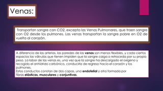 Venas: 
Transportan sangre con CO2, excepto las Venas Pulmonares, que traen sangre 
con O2 desde los pulmones. Las venas transportan la sangre pobre en O2 de 
vuelta al corazón. 
A diferencia de las arterias, las paredes de las venas son menos flexibles, y cada ciertos 
espacios las válvulas que tienen impiden que la sangre caiga o retroceda por su propio 
peso. La labor de las venas es, una vez que la sangre ha descargado el oxígeno y 
recogido el anhídrido carbónico, conducirla de regreso hacia el corazón y los 
pulmones. 
Estos conductos constan de dos capas, una endotelial y otra formada por 
fibras elásticas, musculares y conjuntivas. 
 