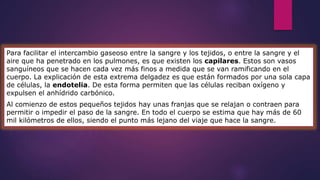 Para facilitar el intercambio gaseoso entre la sangre y los tejidos, o entre la sangre y el 
aire que ha penetrado en los pulmones, es que existen los capilares. Estos son vasos 
sanguíneos que se hacen cada vez más finos a medida que se van ramificando en el 
cuerpo. La explicación de esta extrema delgadez es que están formados por una sola capa 
de células, la endotelia. De esta forma permiten que las células reciban oxígeno y 
expulsen el anhídrido carbónico. 
Al comienzo de estos pequeños tejidos hay unas franjas que se relajan o contraen para 
permitir o impedir el paso de la sangre. En todo el cuerpo se estima que hay más de 60 
mil kilómetros de ellos, siendo el punto más lejano del viaje que hace la sangre. 
 