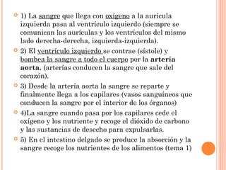    1) La sangre que llega con oxígeno a la aurícula
    izquierda pasa al ventrículo izquierdo (siempre se
    comunican ...