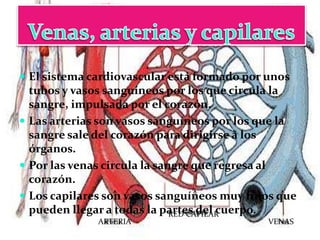  El sistema cardiovascular está formado por unos

tubos y vasos sanguíneos por los que circula la
sangre, impulsada por el corazón.
 Las arterias son vasos sanguíneos por los que la
sangre sale del corazón para dirigirse a los
órganos.
 Por las venas circula la sangre que regresa al
corazón.
 Los capilares son vasos sanguíneos muy finos que
pueden llegar a todas la partes del cuerpo.
RED CAPILAR
ARTERIA

VENAS

 