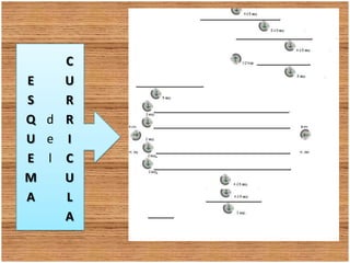 ESQUEMA del CURRICULA