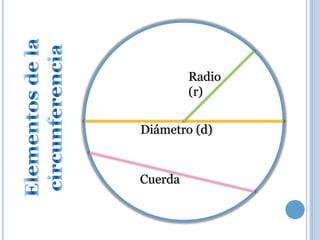 Radio
         (r)


Diámetro (d)



Cuerda
 