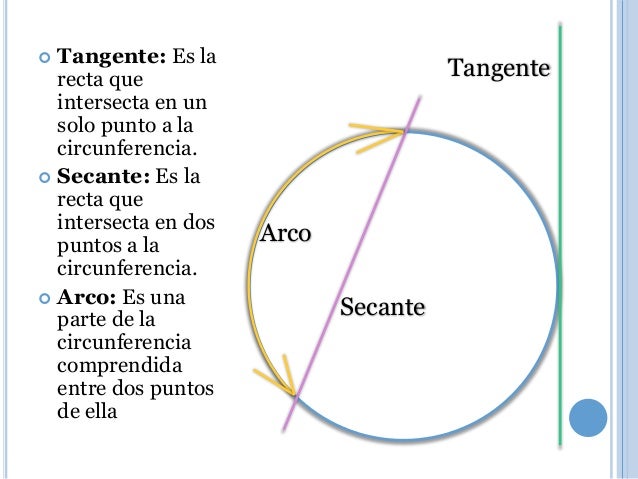 La circunferencia